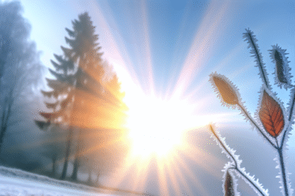 Sunny but cold weather awaits this weekend, according to SMHI.