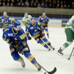 Marcus Leifby's column after Djurgården–Färjestad • SHL