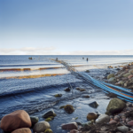 Several cables in the Baltic Sea have suffered interruptions.