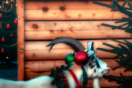 Christmas goat became "horny goat" in the municipality: "Laughed"