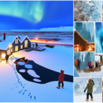 Activities for All Seasons in North Iceland: Museums, horseback riding, hot baths and more